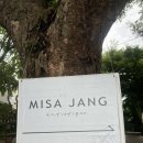 미카페 - 고양시 덕양구 충장로 118-54 | 서울 근교 드라이브 카페 추천! 하남 미사장 후기