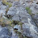 남원 개령암지 마애불상군 이미지