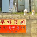 올리브영천안쌍용