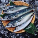 얼라이브 휘트니스 이미지