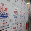골든래미안(365-5757)공인중개사 | [부동산] 마포래미안푸르지오 부동산 후기(feat.골든래미안)