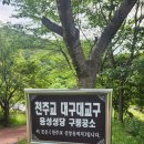 no3. 대구교구.5월연휴.2박3일성지순례26.5월24.25.26부처님오신날대처휴일까지 이미지