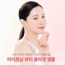 인셀덤센스