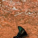 김재훈베이커리