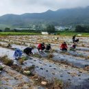 진안군농업기술센터 이미지