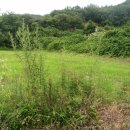 곡성-155 네이버블로그