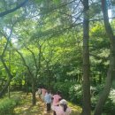 민백초등학교1 네이버블로그