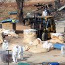 친환경우리농장 이미지