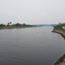 동탄대로 이미지