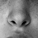 벚꽃주유소 이미지