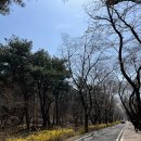 장군묘 화장실 이미지