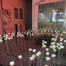 춘천 닭갈비(장성점) 이미지