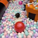 키즈토피아 | 킨텍스 키즈토피아 시즌3 후기｜28개월 아이 반응, 현대백화점 실내놀이