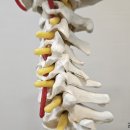 석한의원 이미지