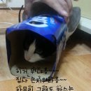 카스멜