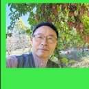 김동식스튜디오 이미지