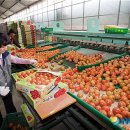 신북농협 산지유통센터 이미지