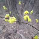 삼봉농원 이미지