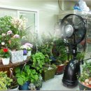 이서카센타 이미지