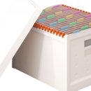 미락올갱이 이미지