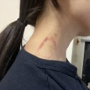 NR-1[서부간선도로]-하-1500 | 2023.02.01 ~ 2023.02.07 일상