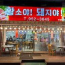 황소야돼지야 이미지