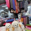 구미새마을중앙시장 이미지