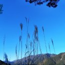 영원여인숙 이미지