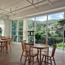 몬스마리 이미지