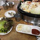 정통춘천닭갈비 이미지