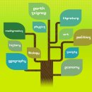 자신있게 듣고 말하는 영어 이미지