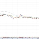 ㈜세일여행사 이미지