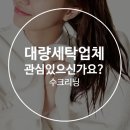성심세탁 이미지