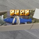 명태작업실 이미지