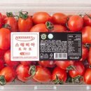 토마토애드