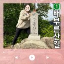 원주굽이길 1코스 배부른산길 | 원주 굽이길 1코스 배부른산길 봉화산 6.3km 등산