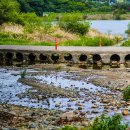 불모산동 이미지