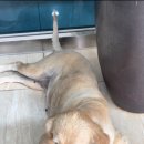 에덴골프아카데미 이미지