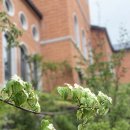 💬 “생활비 예금, 압류당하면 무조건 돌려받을 수 있을까?” -대법원 판례 소개 - 대구서부지원강정한변호사 aka대구이혼전문변호사 이미지