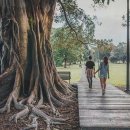 민플란트치과의원 이미지