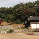 금정사 Daum카페