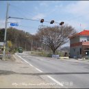 쌍봉리1농로 네이버블로그