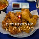 삼산축산 | 울산 삼산 옛날통닭 레트로감성 치킨 술집｜닭동가리｜수상받은 치킨과 해물라면 후기