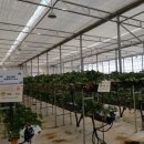 내화농장 이미지