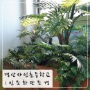 자인초등학교 | 경상북도 인조나무 / 경산 자인초등학교 인조화단 조화조경 설치 후기
