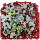 뜰채낙지전문점 이미지