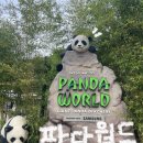 에버랜드 판다월드 스마트줄서기 현장줄서기 시간 굿즈