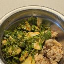 (봄맞이) 한입 요리 | [봄동비빔밥] 봄맞이 막차(?) 탑승 | 강호동 비빔밥 봄동겉절이 양념 레시피 만드는법 후기