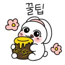 케이헤밍웨이베이커리카페 이미지