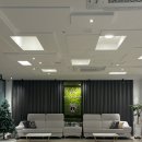 호텔아라리 | 전주 터미널 근처 숙소｜최근 생긴 호텔 아라리 후기